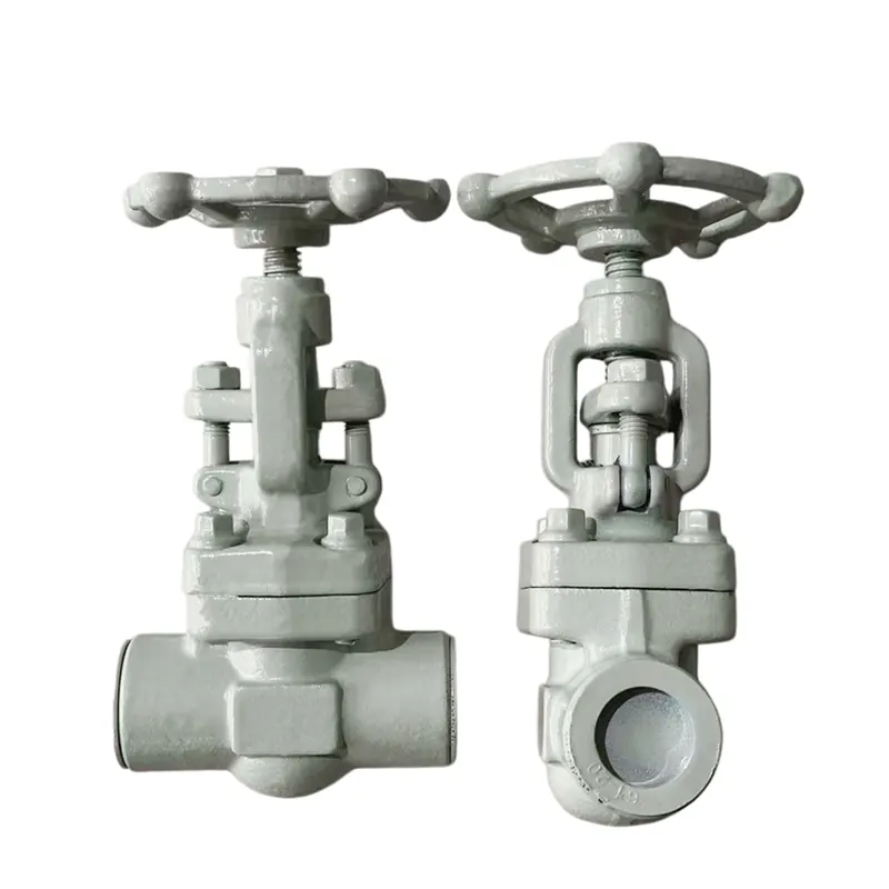 Pîşesaziya Kîmyewî ya Taybet a Gate Valve