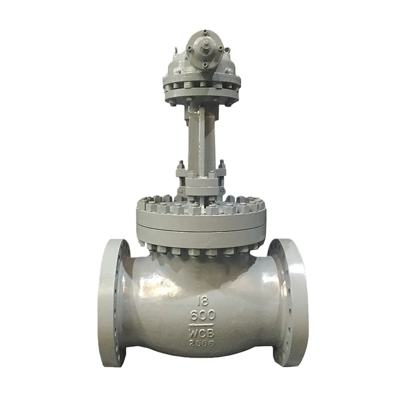 Valve Globe Resistant Corrosion