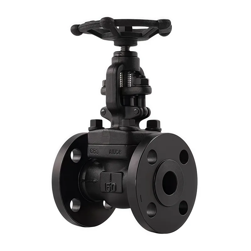 Valveya Globe Flanged Forged